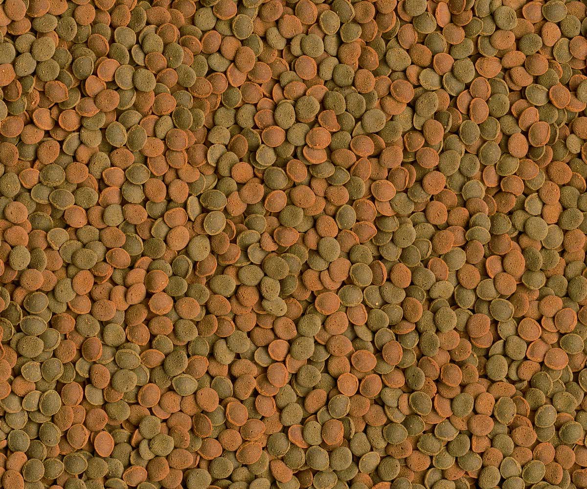 Корм Для Рыб Tetra (Тетра) Wafer Mix Пластинки с Креветками 15г 134461