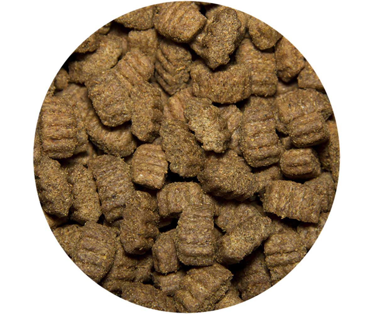 Сухой Корм All Dogs (Олл Догс) Для Собак Говядина и Овощи 20кг