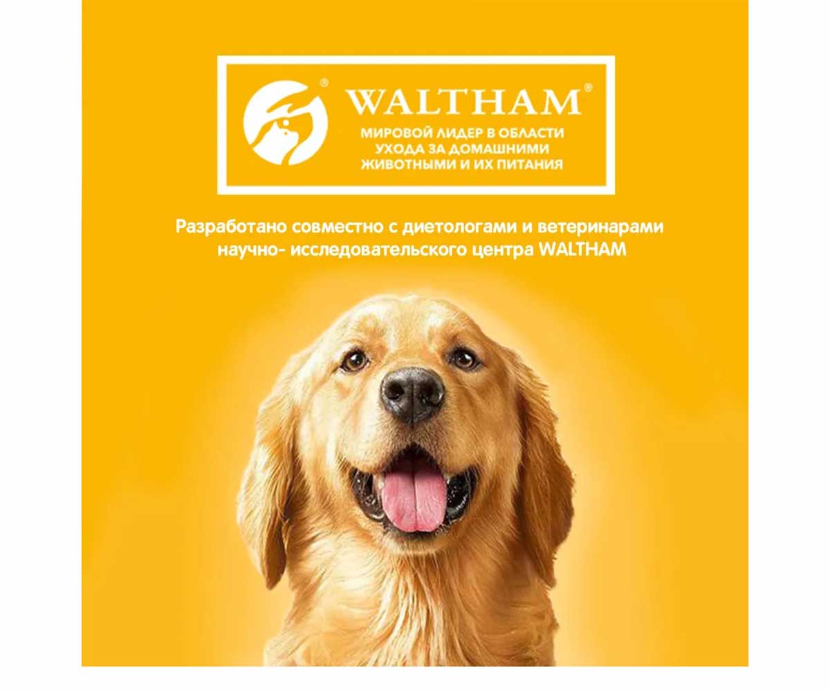 Сухой Корм Pedigree (Педигри) Для Взрослых Собак Говядина 13кг