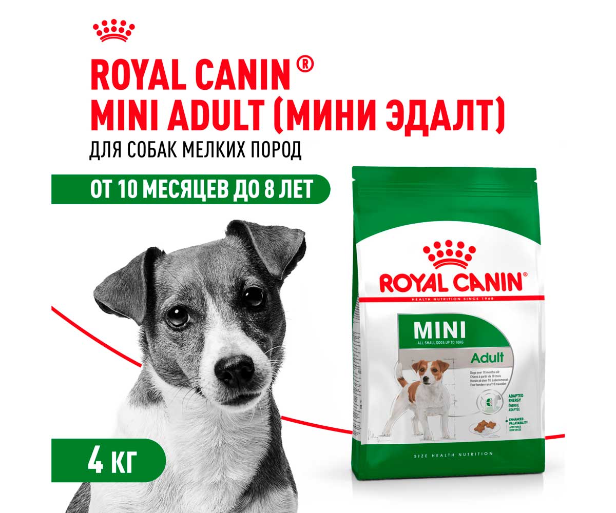 Сухой Корм Royal Canin (Роял Канин) Для Собак Мелких Пород Size Health Nutrition MINI Adult 4кг